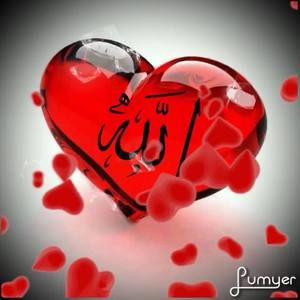 Meet your Posher, Omaymah